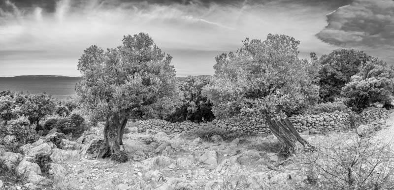 MTDi_Croatie-île-de-Pag_Lun_©ClaudeCruells-2