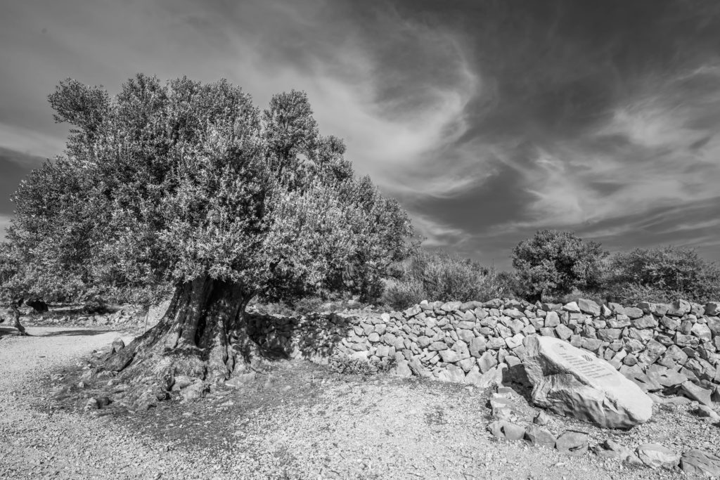 MTDi_Croatie-île-de-Pag_Lun_©ClaudeCruells-4686-1024×683