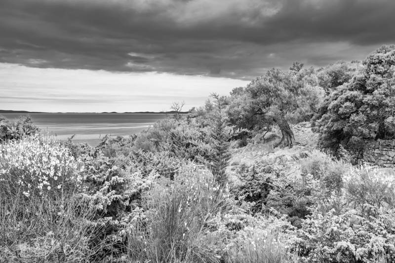 MTDi_Croatie-île-de-Pag_Lun_©ClaudeCruells-4793