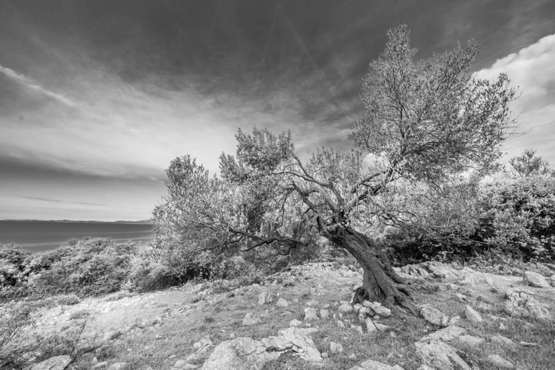 MTDi_Croatie-île-de-Pag_Lun_©ClaudeCruells-4843