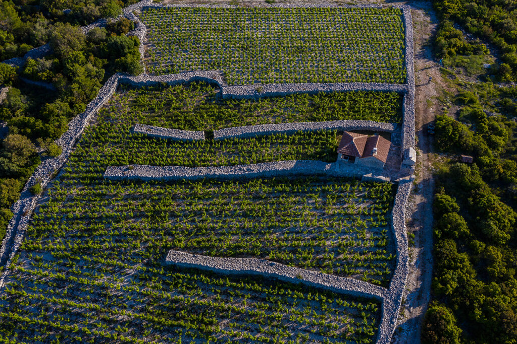 MTDi_Croatie_île-de-Korcula_MP2©ClaudeCruells-0550_BD