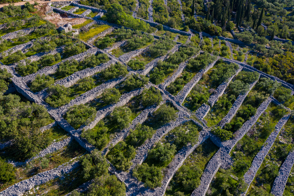 MTDi_Croatie_île-de-Korcula_MP2©ClaudeCruells-0560_BD